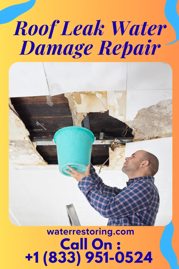 Roof Leak Water Damage Repair in Cofield, NC