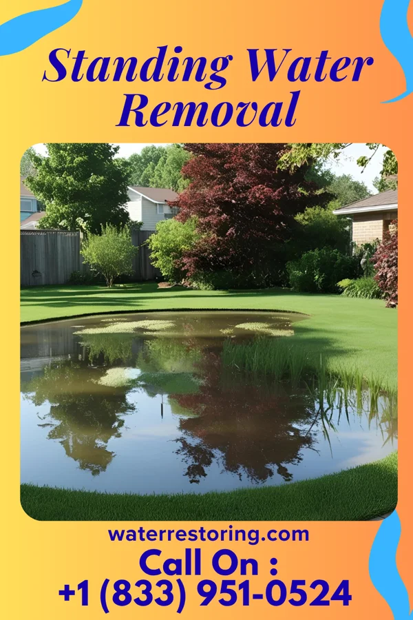 Standing Water Removal in Cofield, NC